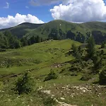 Daire Mateja *