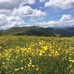 Mateja 이너그렘즈