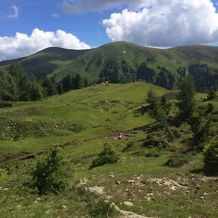 Apartamento Mateja *
